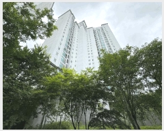  2025Ÿ��33211  ����Ʈ���