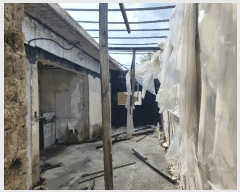  2025Ÿ��33251  ���ð��