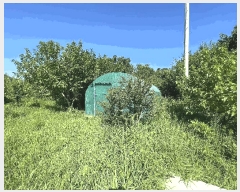  2025Ÿ��33303 ���� ���ֽ� ��õ�� ���̸� 887      ����(��)���