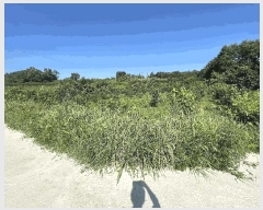  2025Ÿ��33303 ���� ���ֽ� ��õ�� ���̸� 887      ����(��)���
