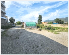  2025Ÿ��33319  �������