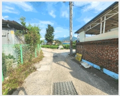  2025Ÿ��33319  �������