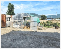  2025Ÿ��33319  �������