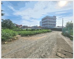  2025Ÿ��33319  �������