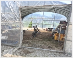  2025Ÿ��33319  �������