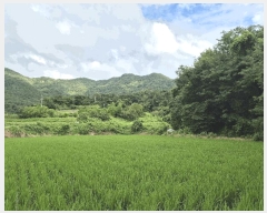  2025Ÿ��33384 ���� ��籺 â��� ����� 533      ����(��1)���