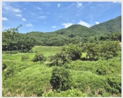  2025Ÿ��33384 ���� ��籺 â��� ����� 533      ����(��1)���