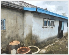  2025Ÿ��33421  ���ð��