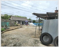  2025Ÿ��33421  ���ð��