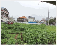  2025Ÿ��33450 ���� ���� ���굿 912-58       ����(����)���