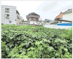  2025Ÿ��33450 ���� ���� ���굿 912-58       ����(����)���