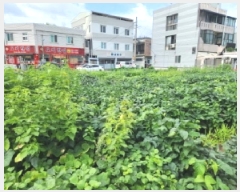  2025Ÿ��33450 ���� ���� ���굿 912-58       ����(����)���