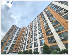  2025Ÿ��33528 ���� ���ֽ� ��ȣ�� 307-5 ȣ�ݾ���Ʈ 101�� 9��903ȣ    ����Ʈ���