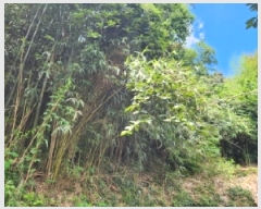  2025Ÿ��33540 ���� ���ֽ� �հ�� ��긮 451      ����(����)���