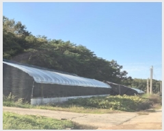  2025Ÿ��34029  �����