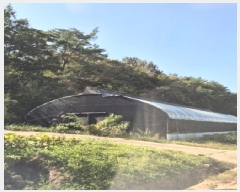  2025Ÿ��34029  �����