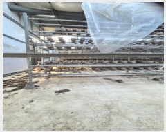  2025Ÿ��34029  �����