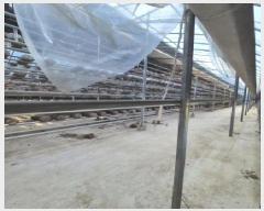  2025Ÿ��34029  �����