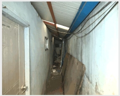  2025Ÿ��34137  �ٸ����ð��