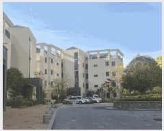  2025Ÿ��34162  �ټ���(����)���