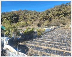  2025Ÿ��34259 ���� �ϱ� �ϰ 10       ����(��)���