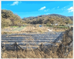  2025Ÿ��34259 ���� �ϱ� �ϰ 10       ����(��)���