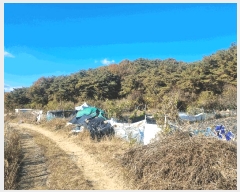  2025Ÿ��34259 ���� �ϱ� �ϰ 10       ����(��)���