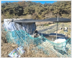  2025Ÿ��34259 ���� �ϱ� �ϰ 10       ����(��)���