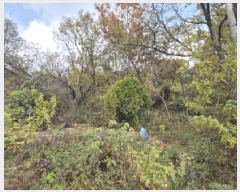  2025Ÿ��34287 ���� ���걸 ��â�� ��101-2       ����(�Ӿ�)���