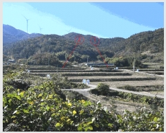  2025Ÿ��34317 ���� ȭ���� ���� ������ 599-6      ����(��)���