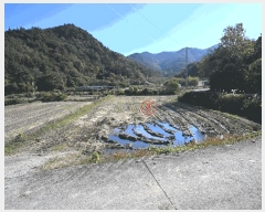  2025Ÿ��34317 ���� ȭ���� ���� ������ 599-6      ����(��)���