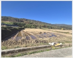  2025Ÿ��34317 ���� ȭ���� ���� ������ 599-6      ����(��)���