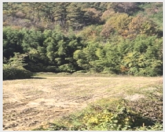  2025Ÿ��34317 ���� ȭ���� ���� ������ 599-6      ����(��)���