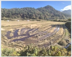  2025Ÿ��34317 ���� ȭ���� ���� ������ 599-6      ����(��)���