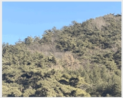  2025Ÿ��34611  �Ӿ߰��