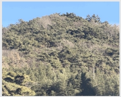  2025Ÿ��34611  �Ӿ߰��