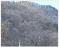  2025Ÿ��34611  �Ӿ߰��