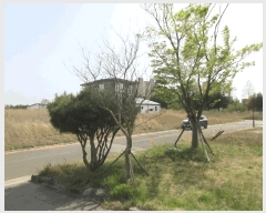  2025Ÿ��684  ���ð��