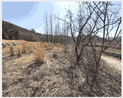  2025Ÿ��1083  ����