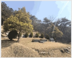  2025Ÿ��1083  ����