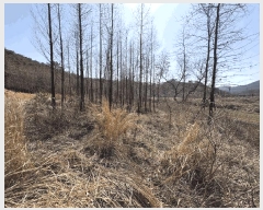  2025Ÿ��1083  ����