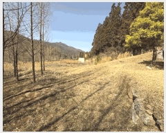  2025Ÿ��1083  ����