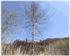  2025Ÿ��1083  ����