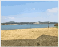  2025Ÿ1380  强 Ｍ 縮 308-13      (ķ)