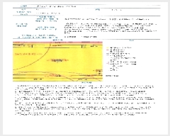  2025Ÿ��2048  ����Ʈ���