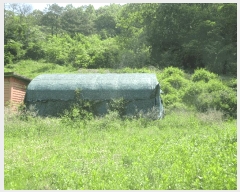  2025Ÿ��3089 ���� ��籺 ���繮�и� ������ 124-3      ����(��)���