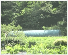  2025Ÿ��3089 ���� ��籺 ���繮�и� ������ 124-3      ����(��)���