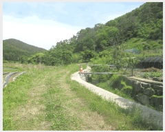  2025Ÿ��3089 ���� ��籺 ���繮�и� ������ 124-3      ����(��)���