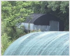  2025Ÿ��3089 ���� ��籺 ���繮�и� ������ 124-3      ����(��)���