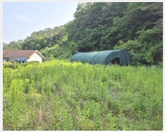  2025Ÿ��3089 ���� ��籺 ���繮�и� ������ 124-3      ����(��)���